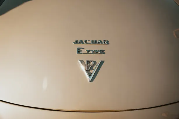 Untold Cazino Cazinou Aplicație Android/iOS